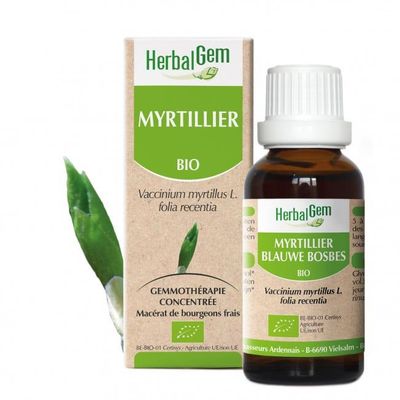 Myrtillier bio 30 ml Myrtillier herbalgem 30 ml jeunes feuilles vaccinium myrtillus gemmotherapie Herboristerie Cousin Wiame Wattrelos.
