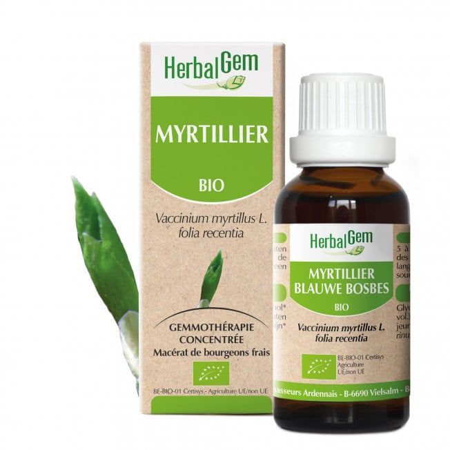 Myrtillier herbalgem 30 ml jeunes feuilles vaccinium myrtillus gemmotherapie Herboristerie Cousin Wiame Wattrelos.