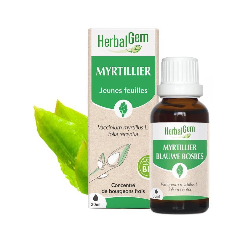 Bourgeon de Myrtillier Bio HerbalGem – 30 ml Bourgeon de Myrtillier Bio HerbalGem, macérat glycériné de jeunes feuilles de Vaccinium myrtillus, flacon 30 ml