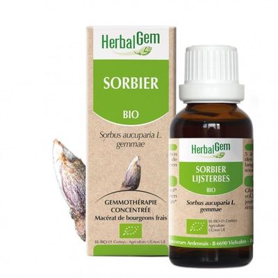 Sorbier Bio 30 ml sorbier herbalgem 30 ml bourgeons sorbus aucuparia gemmotherapie herboristerie cousin wiame wattrelos.