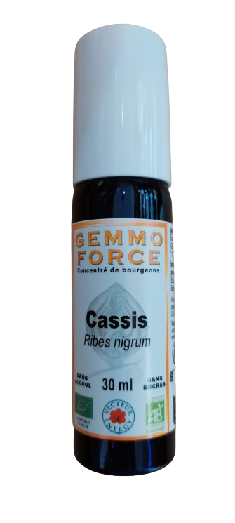 Cassis 30 ml Spray GEMMO FORCE Cassis 30 ml spray concentré de bourgeons bio sans alcool Ribes nigrum