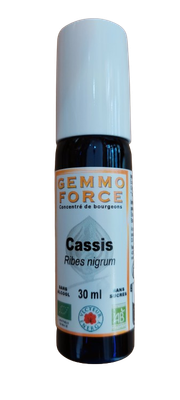 GEMMO FORCE Cassis 30 ml spray concentré de bourgeons bio sans alcool Ribes nigrum