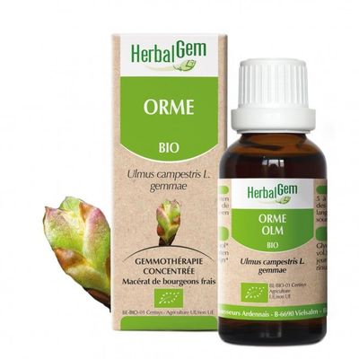 Orme bio 30 ml Orme herbalgem 30 ml bourgeons ulmus campestris gemmotherapie Herboristerie Cousin Wiame Wattrelos.