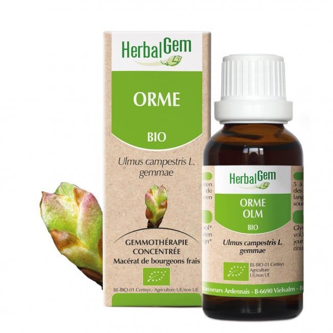 Orme herbalgem 30 ml bourgeons ulmus campestris gemmotherapie Herboristerie Cousin Wiame Wattrelos.
