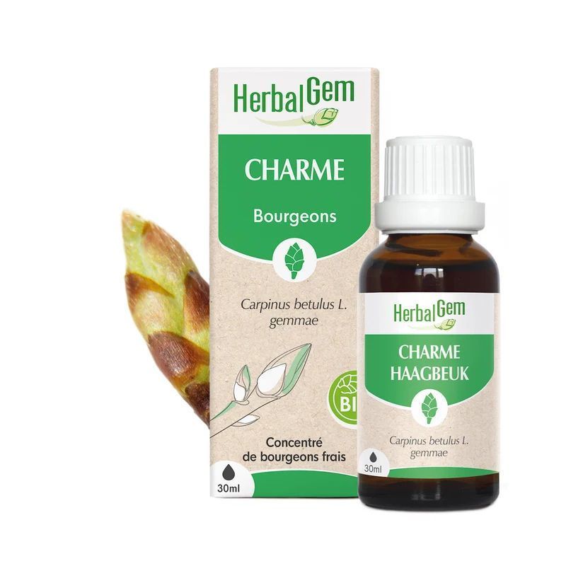 Bourgeon de Charme Bio HerbalGem – 30 ml Charme Bio HerbalGem macérat glycériné de bourgeons frais de charme en gemmothérapie, flacon compte-gouttes 30 ml