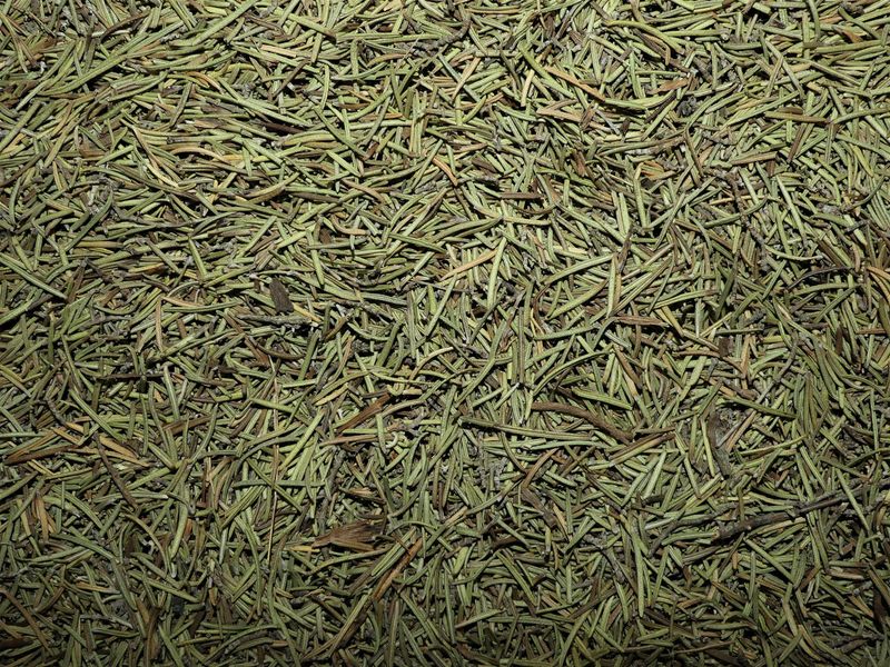 Romarin feuille vrac 150g Rosmarinus officinalis tisane plante sèche