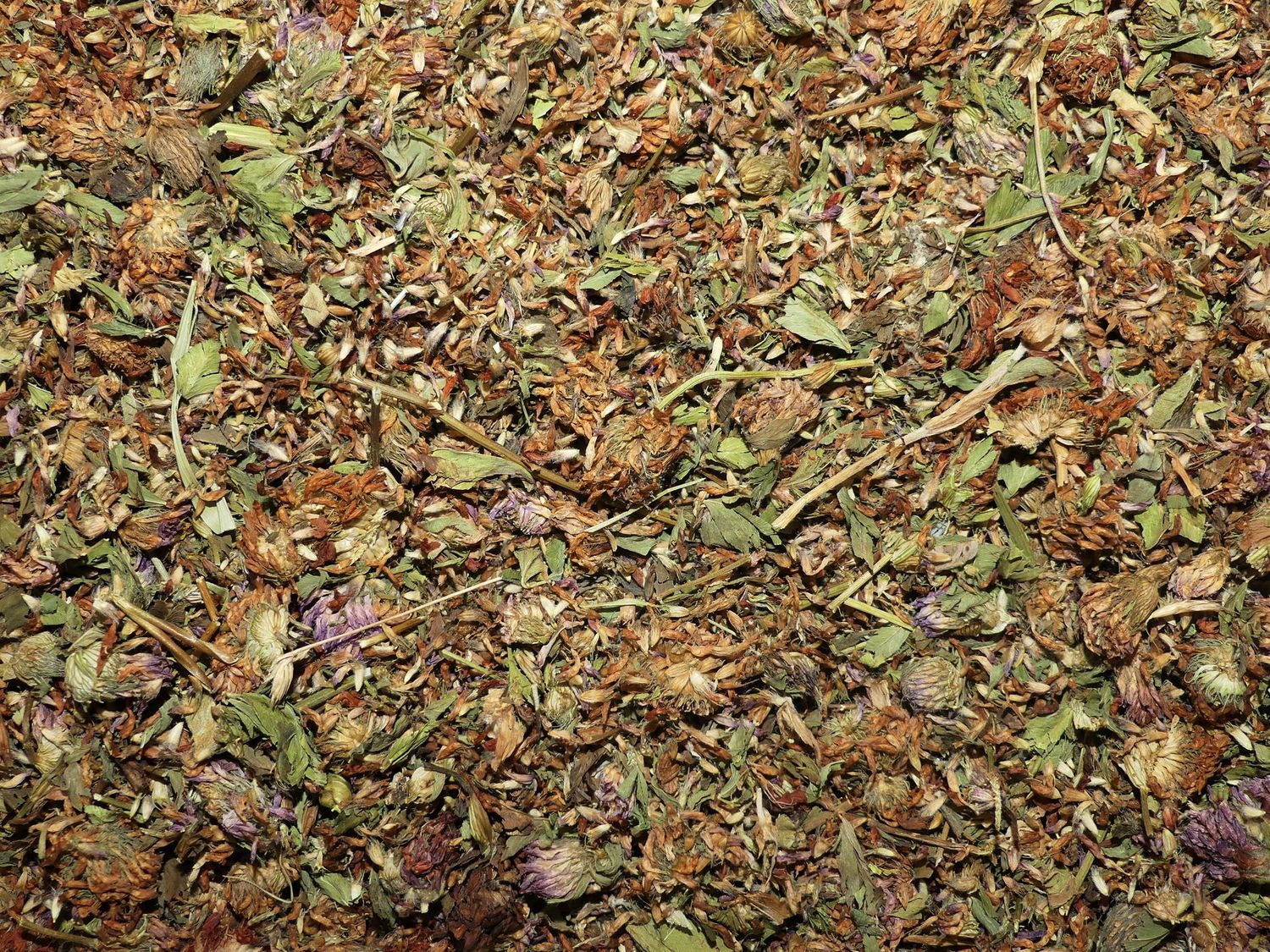 Trèfle rouge (fleur) Trefle rouge fleur vrac 100g Trifolium pratense tisane plante sèche