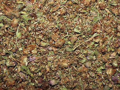 Trèfle rouge (fleur) Trefle rouge fleur vrac 100g Trifolium pratense tisane plante sèche
