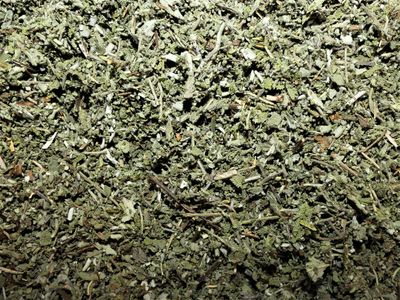 Sauge feuille tisane vrac 100g Salvia officinalis Herboristerie Cousin Wiame Wattrelos.