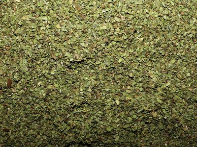 Marjolaine feuille vrac 100g Origanum majorana tisane plante sèche