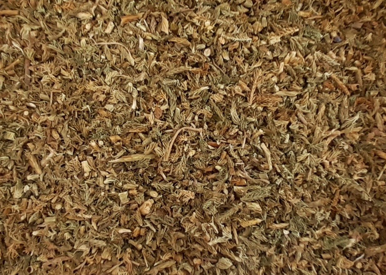 Lycopode (partie aérienne) Lycopode partie aerienne vrac 100g Lycopodium clavatum tisane plante sèche