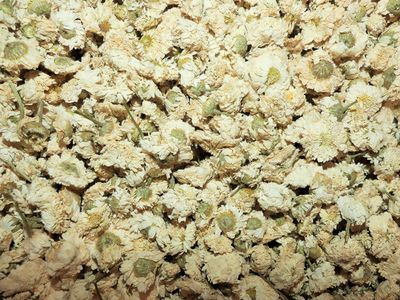 Camomille romaine fleur vrac 100g Chamaemelum nobile tisane plante sèche