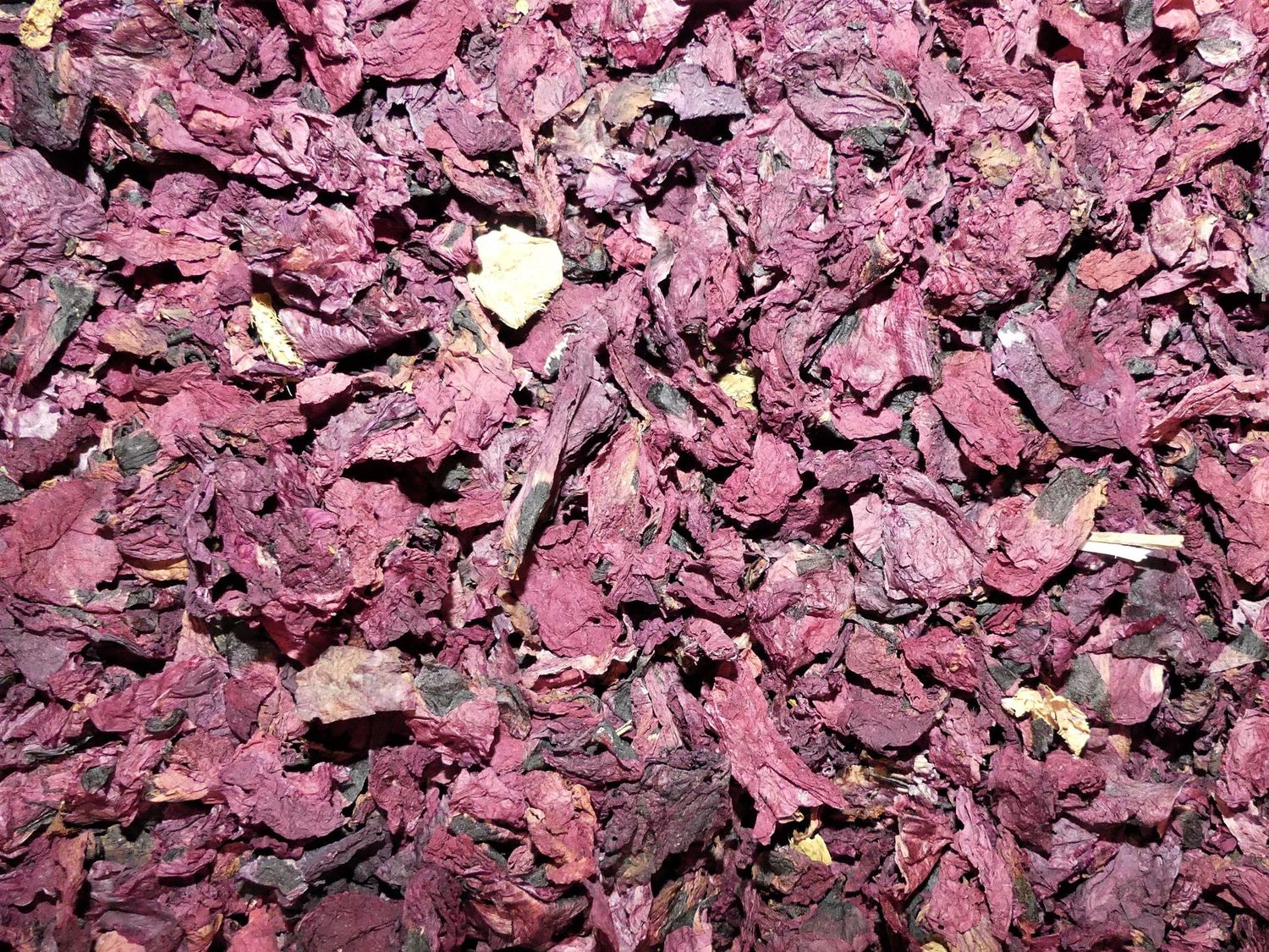 Coquelicot (pétale) Coquelicot petales vrac 100g Papaver rhoeas tisane plante sèche