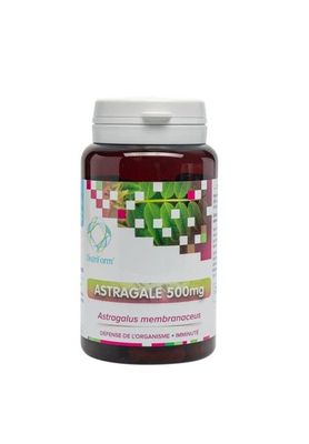 Astragale 90 gélules Astragale 90 gélules extrait standardisé 20 pourcent polysaccharides Astragalus membranaceus Herboristerie Cousin-Wiame.