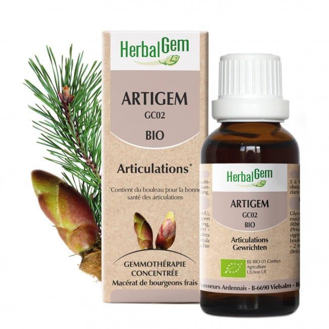 Artigem herbalgem 30 ml bourgeons cassis pin vigne bouleau gemmotherapie, Herboristerie Cousin Wiame Wattrelos.