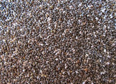 Graines de Chia Bio 250 g graines de chia bio 250 g salvia hispanica superaliment naturel fibres omega 3