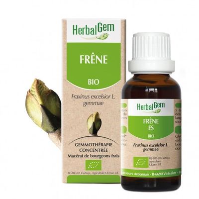 Frene herbalgem 30 ml bourgeons fraxinus excelsior gemmotherapie Herboristerie Cousin Wiame Wattrelos.