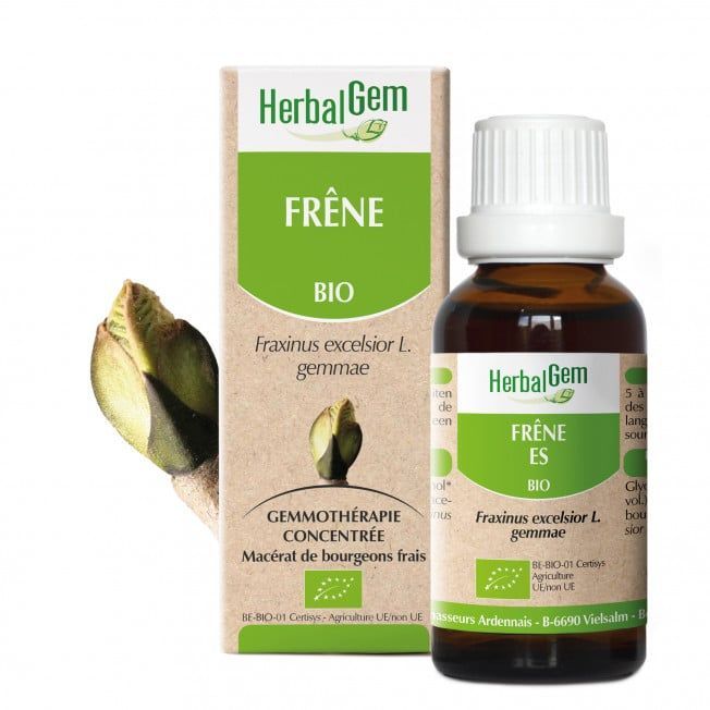 Frene herbalgem 30 ml bourgeons fraxinus excelsior gemmotherapie Herboristerie Cousin Wiame Wattrelos.