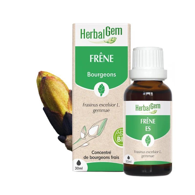 Bourgeon de Frêne Bio HerbalGem – 30 ml Frêne Bio HerbalGem macérat glycériné de bourgeons frais de Fraxinus excelsior en gemmothérapie, flacon compte-gouttes 30 ml