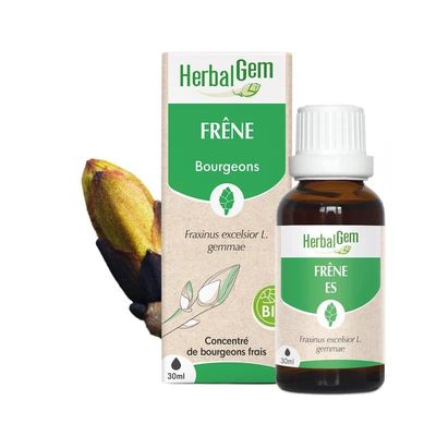 Frêne Bio HerbalGem macérat glycériné de bourgeons frais de Fraxinus excelsior en gemmothérapie, flacon compte-gouttes 30 ml