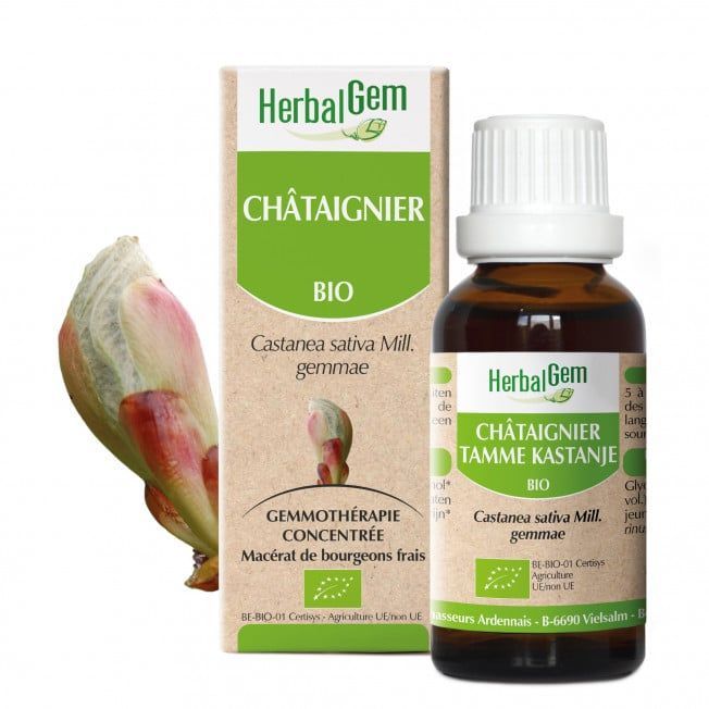 Chataignier herbalgem 30 ml bourgeons castanea sativa gemmotherapie Herboristerie Cousin Wiame Wattrelos.