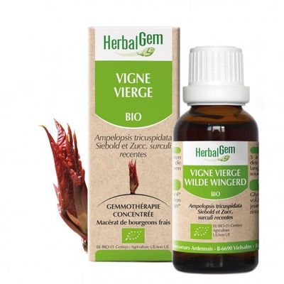 Vigne vierge bio 30 ml vigne vierge herbalgem 30 ml ampelopsis tricuspidata gemmotherapie herboristerie cousin wiame wattrelos.
