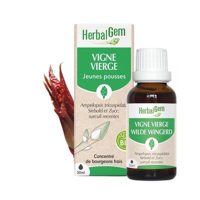 Bourgeon de Vigne vierge Bio HerbalGem – 30 ml Bourgeon de Vigne vierge Bio HerbalGem, macérat de jeunes pousses d’Ampelopsis tricuspidata, flacon 30 ml