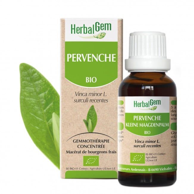 Pervenche herbalgem 30 ml jeunes pousses vinca minor gemmotherapie Herboristerie Cousin Wiame Wattrelos.