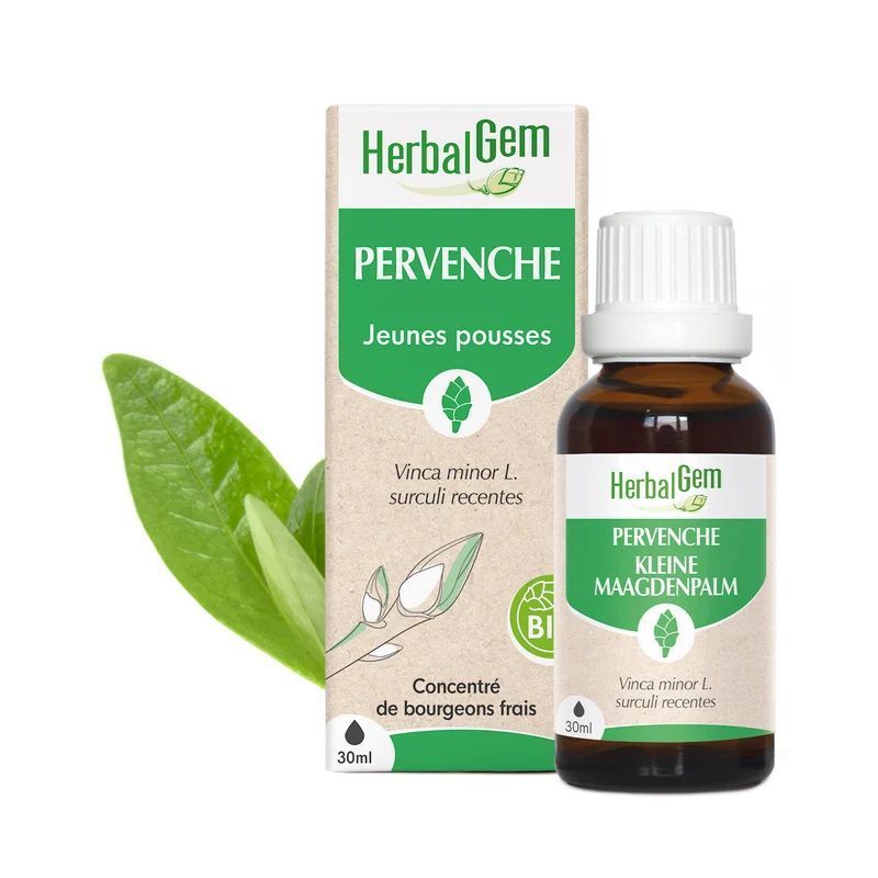 Bourgeon de Pervenche Bio HerbalGem – 30 ml Bourgeon de Pervenche Bio HerbalGem, macérat de jeunes pousses de Vinca minor, flacon 30 ml