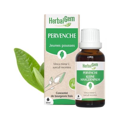 Bourgeon de Pervenche Bio HerbalGem – 30 ml Bourgeon de Pervenche Bio HerbalGem, macérat de jeunes pousses de Vinca minor, flacon 30 ml