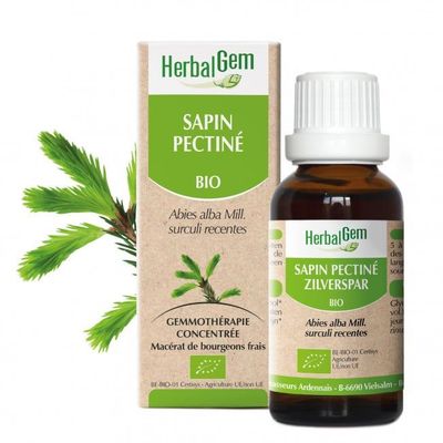 sapin pectiné herbalgem 30 ml jeunes pousses abies alba gemmotherapie herboristerie cousin wiame wattrelos.