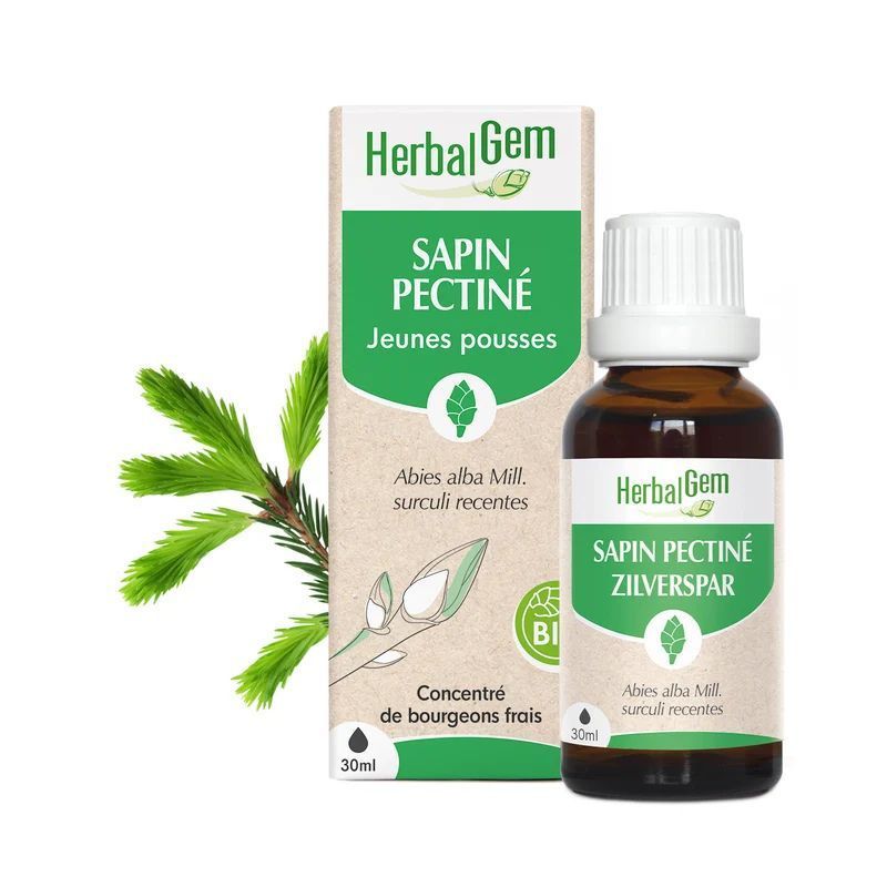 Bourgeon de Sapin pectiné Bio HerbalGem – 30 ml Bourgeon de Sapin pectiné Bio HerbalGem, macérat de jeunes pousses d’Abies alba, flacon 30 ml