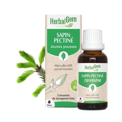 Bourgeon de Sapin pectiné Bio HerbalGem – 30 ml Bourgeon de Sapin pectiné Bio HerbalGem, macérat de jeunes pousses d’Abies alba, flacon 30 ml