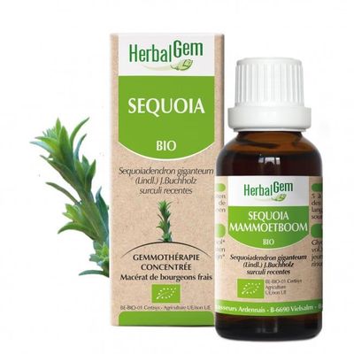 Sequoia bio 30 ml sequoia herbalgem 30 ml jeunes pousses sequoiadendron giganteum gemmotherapie herboristerie cousin wiame wattrelos.
