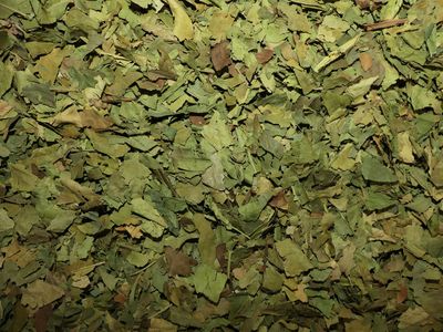 Oranger amer feuille vrac 100g Citrus aurantium tisane plante sèche