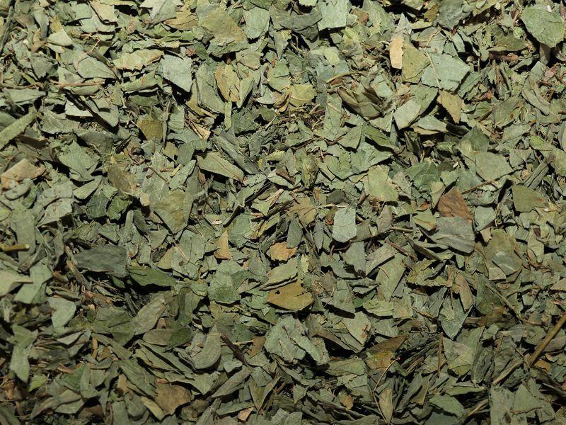Desmodium feuille vrac 100g Desmodium adscendens tisane plante sèche