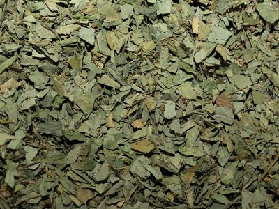 Desmodium feuille vrac 100g Desmodium adscendens tisane plante sèche