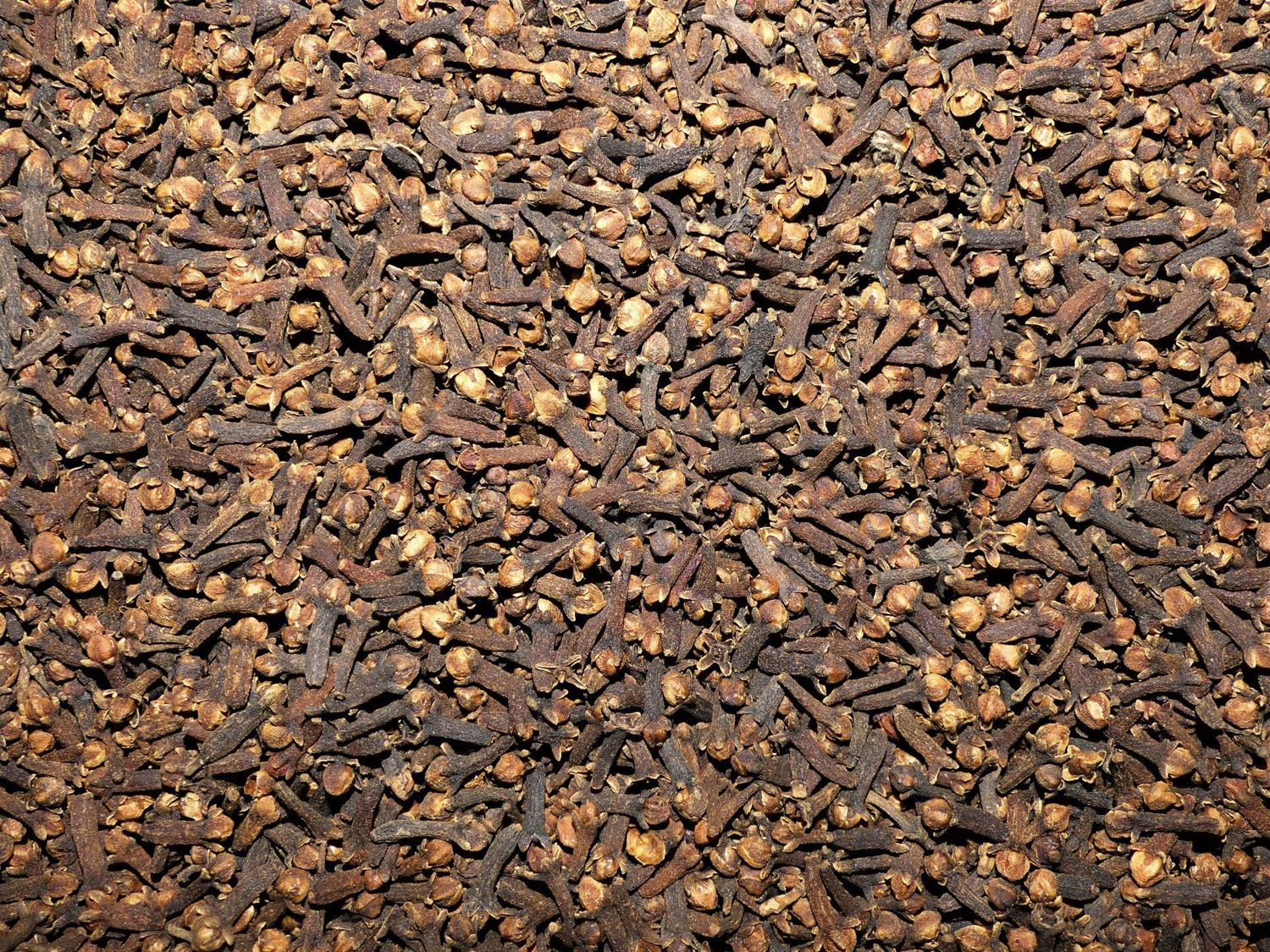 Giroflier (clou) Clou de girofle vrac 100g Syzygium aromaticum tisane plante sèche