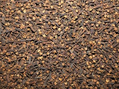 Giroflier (clou) Clou de girofle vrac 100g Syzygium aromaticum tisane plante sèche