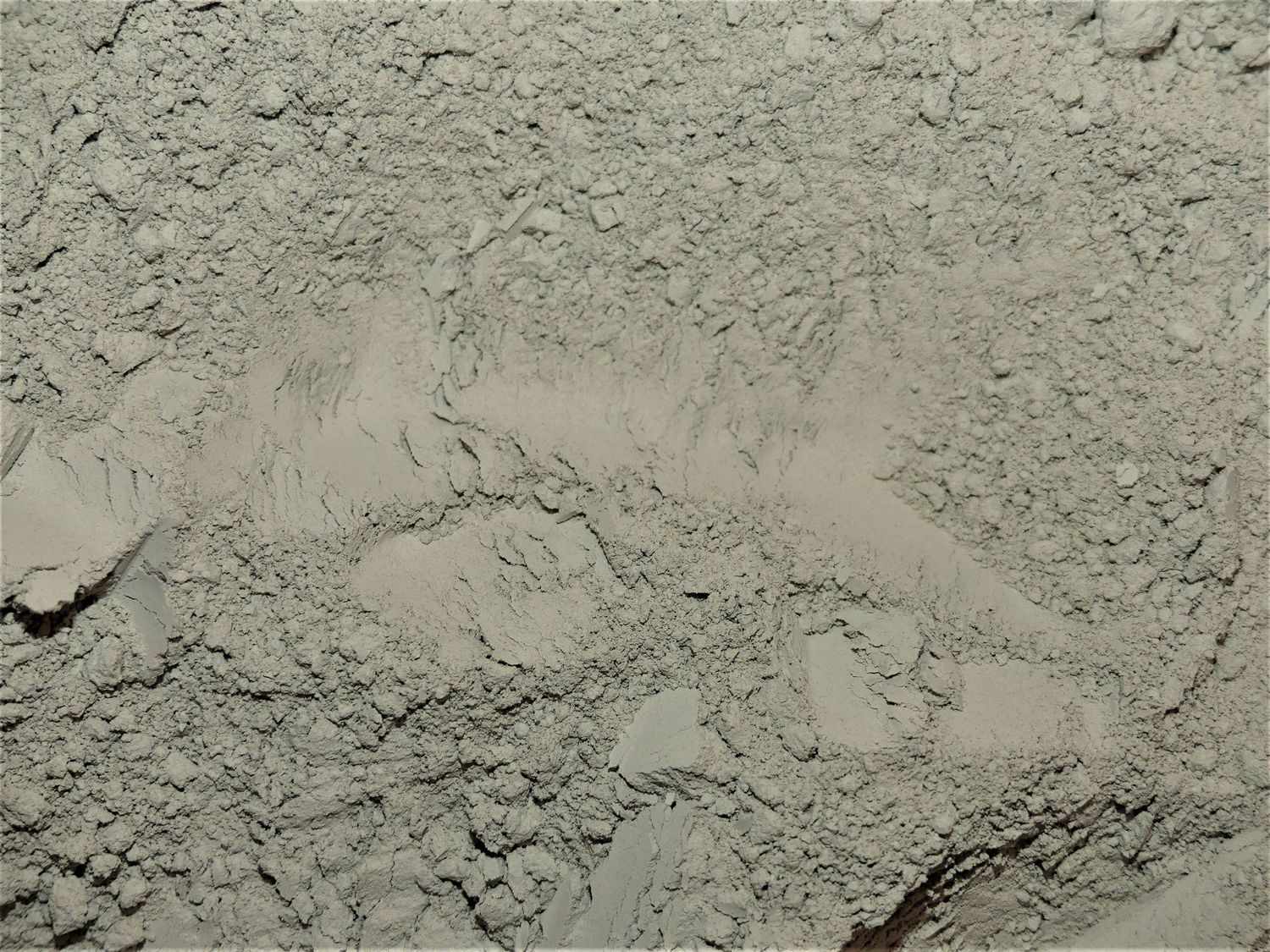 Lithothamne (algue) Lithothamne poudre vrac 100g Lithothamnium calcareum algue marine naturelle