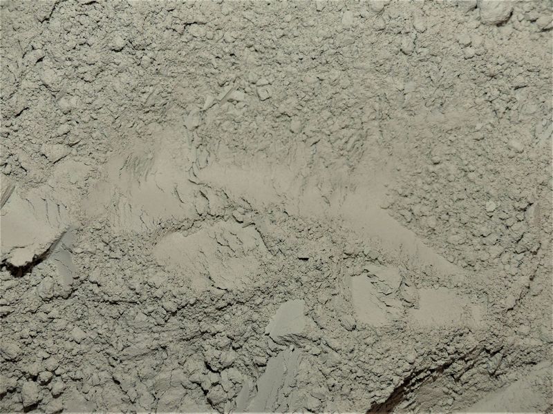 Lithothamne poudre vrac 100g Lithothamnium calcareum algue marine naturelle