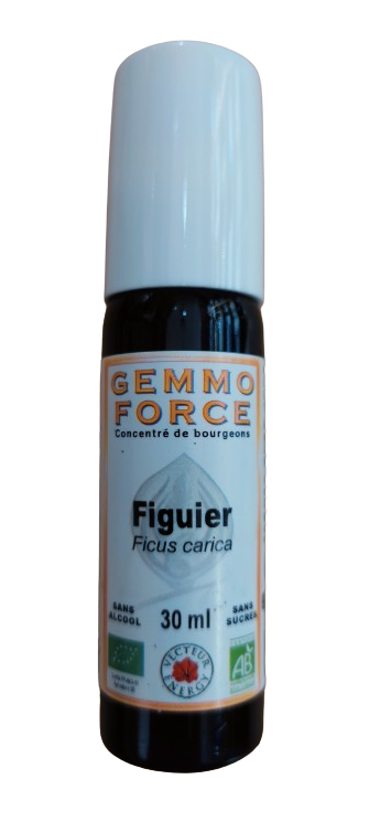 GEMMO FORCE Figuier 30 ml spray concentré de bourgeons bio sans alcool Ficus carica