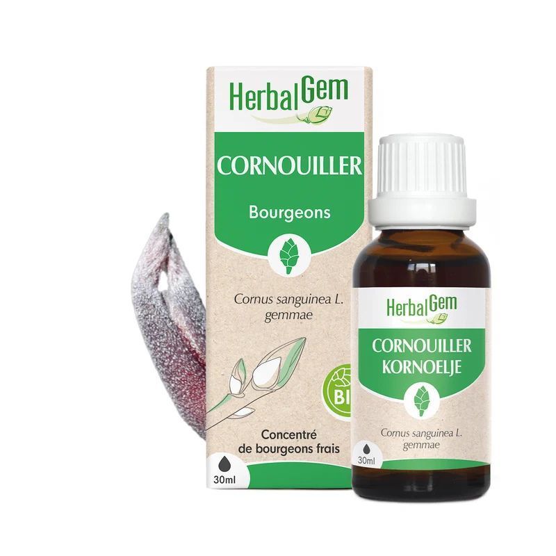 Bourgeon de Cornouiller Bio HerbalGem – 30 ml Cornouiller Bio HerbalGem macérat glycériné de bourgeons frais de Cornus sanguinea en gemmothérapie, flacon 30 ml.