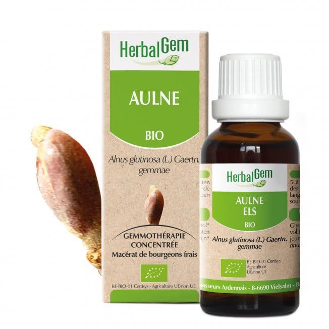 Aulne 30 bio ml Aulne herbalgem 30 ml bourgeons alnus glutinosa gemmotherapie Herboristerie Cousin Wiame Wattrelos.