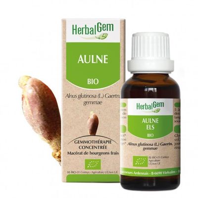 Aulne herbalgem 30 ml bourgeons alnus glutinosa gemmotherapie Herboristerie Cousin Wiame Wattrelos.