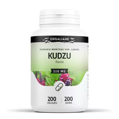 Kudzu 100 gélules racine Pueraria montana var lobata complément alimentaire naturel