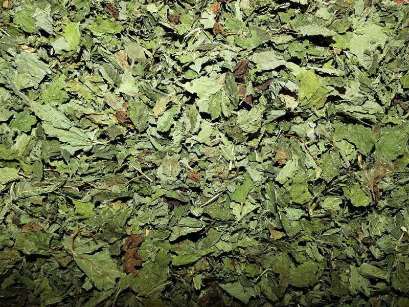 Melisse feuille vrac 100g Melissa officinalis tisane plante sèche