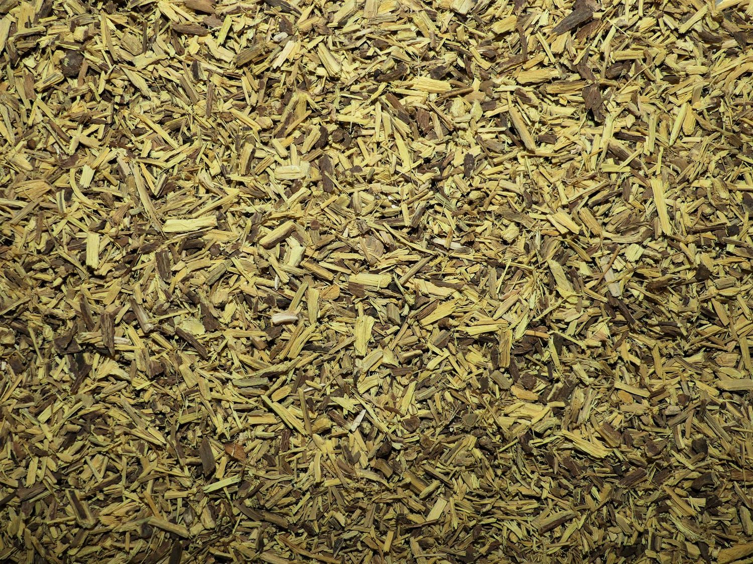 Réglisse (racine) Reglisse racine vrac 100g Glycyrrhiza glabra tisane plante sèche