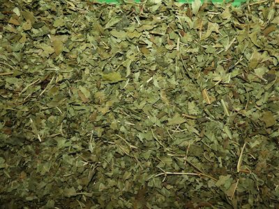 Frene feuille vrac 100g Fraxinus excelsior tisane plante sèche