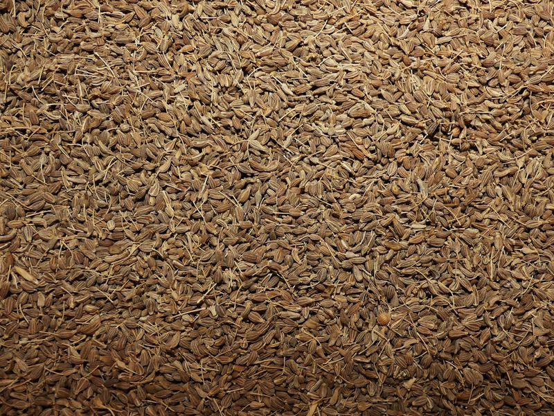 Anis vert semence vrac 100g Pimpinella anisum tisane plante sèche